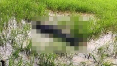 खेत में मिला दुष्कर्म के आरोपी का शव