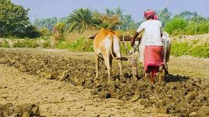 अलग-अलग फलों और फसलों के क्लस्टर्स बना रही योगी सरकार