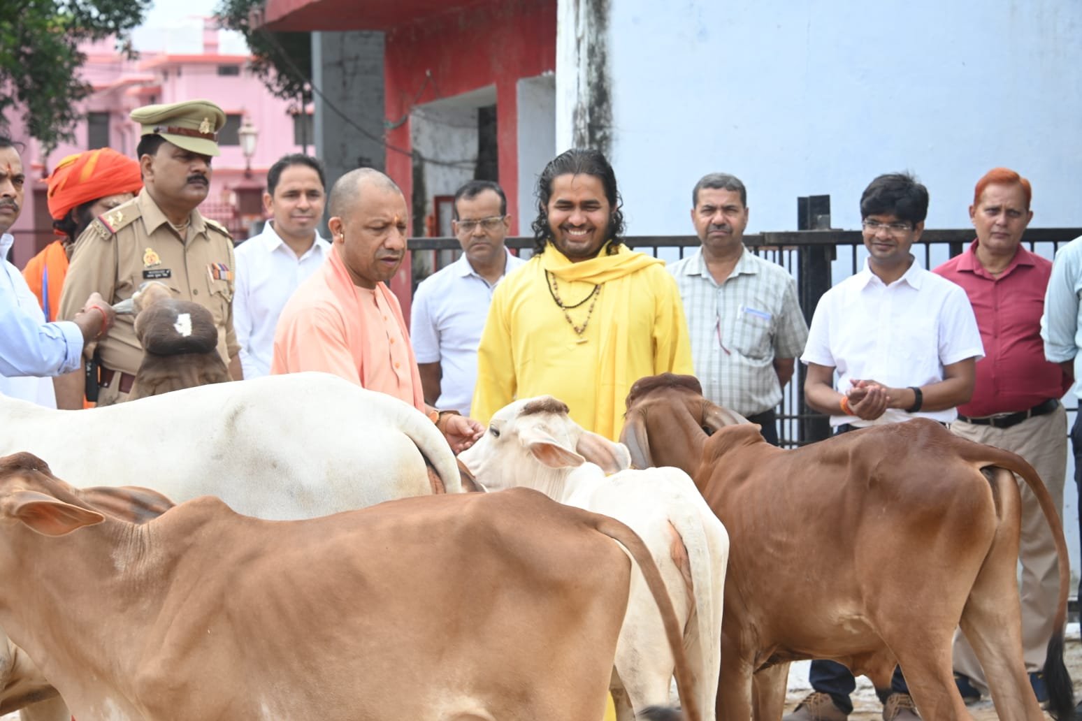 गोरखनाथ मंदिर की गोशाला में सीएम योगी आदित्यनाथ ने की गोसेवा