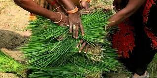 प्रदेश भर में अबतक 7634 कृषि सखियां प्रशिक्षित