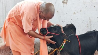 देश की दुर्लभ नस्ल की इस प्रजाति के आने से और समृद्ध हुई गोरक्षपीठ की गोशाला