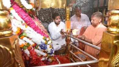 मां विंध्यवासिनी के दर पर सीएम योगी ने झुकाया शीश