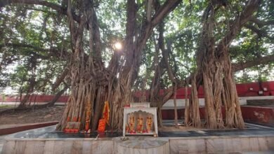 रामायण में वर्णित है माता सीता ने अक्षयवट को दिया था आशीर्वाद