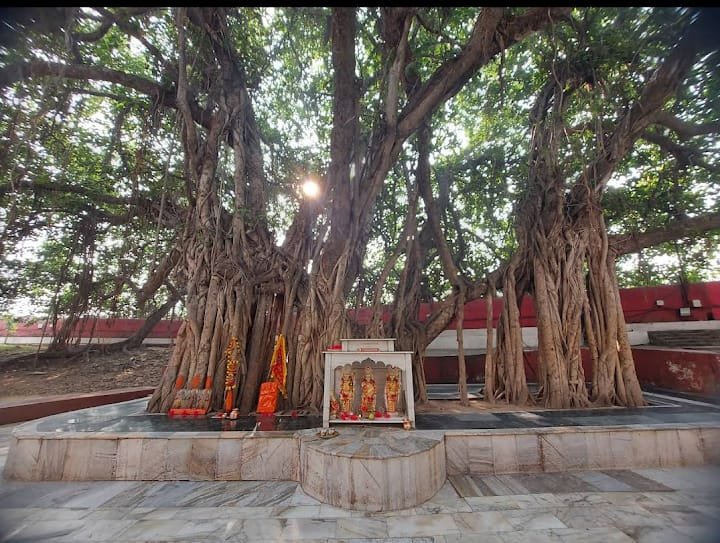 रामायण में वर्णित है माता सीता ने अक्षयवट को दिया था आशीर्वाद