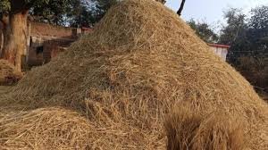 अगले पांच साल में बायोकोल/बायोडीजल का उत्पादन दोगुना करने का लक्ष्य