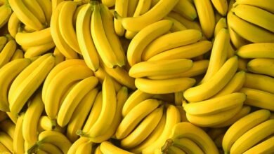 उत्तर प्रदेश के केला उत्पादक किसानों के लिए खुशखबरी