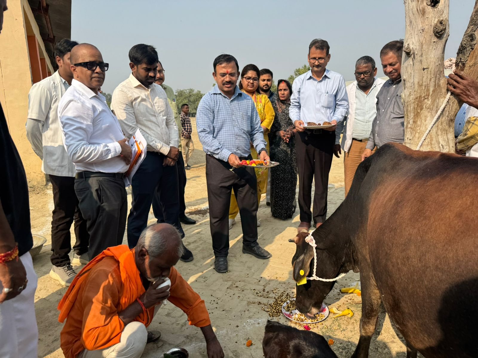 7319 गो-आश्रय स्थलों में समारोह पूर्वक मनाया गया गोवर्धन पूजा, किया गया गो पूजन
