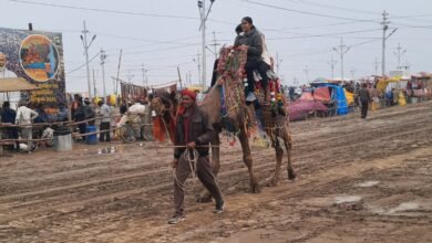 श्रद्धालुओं को संगम की सैर करा रहे रामू, घनश्याम और राधेश्याम