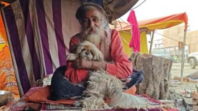 महाकुंभ में अखाड़ों और नागा संन्यासियों के शिविर में मिल रही है पशु प्रेम की झलक