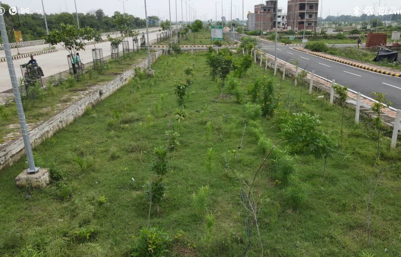 हरित महाकुम्भ को तैयार करने में जुटी वन विभाग की टीम, 1.38 लाख पौधे अभी तक लगाए गए