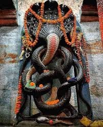 प्रयागराज के पौराणिक मंदिरों में नागवासुकी मंदिर