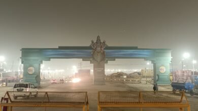 महाकुम्भ में देवलोक की अनुभूति कराएंगे 30 पौराणिक तोरण द्वार