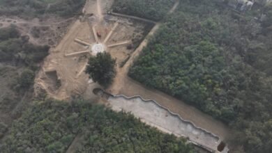 नगर निगम प्रयागराज ने मियावाकी तकनीकी से डेवलप किया 2 साल में 56 हज़ार वर्ग मीटर का ऑक्सीजन बैंक