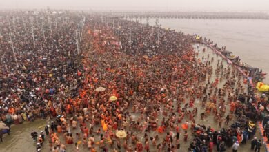 त्रिवेणी संगम पर दिव्यता और आस्था का नजर आ रहा सागर, विविधताओं में दिखा एकता का उत्सव