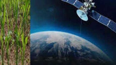 इसरो ने अंतरिक्ष में फसल उगाने जैसी तकनीक पर पायी सफलता