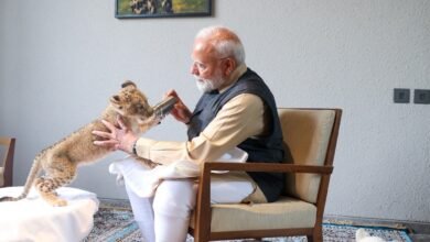 पीएम मोदी ने शेर के शावकों के साथ बिताया समय