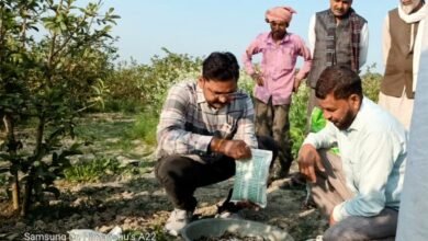 मेले के बाद स्थानीय किसानों ने बड़े पैमाने पर शुरू की तरबूज, ककड़ी, खीरे और खरबूजे की खेती