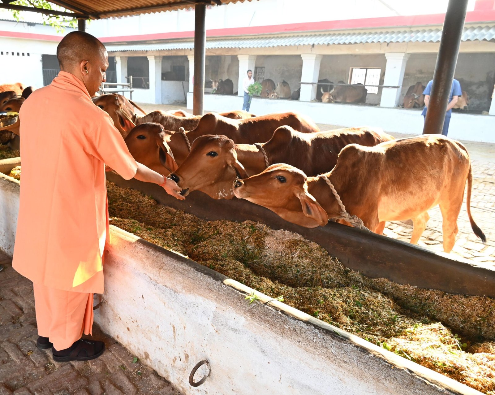 गो माता को खिलाया गुड़, मंदिर की व्यवस्थाओं का लिया जायजा