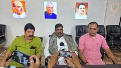 बाबा गणिनाथ जी जन्मोत्सव मेला, राजकीय मेला घोषित