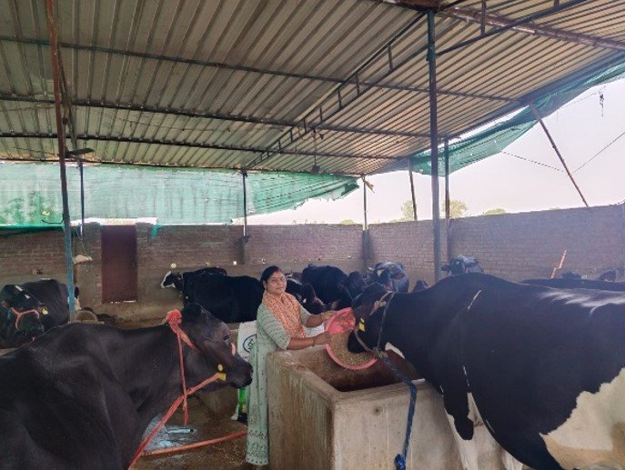 योगी सरकार का मिला सहारा, गरीबी को पीछे छोड़ लखपति बनी सोनभद्र की विनीता