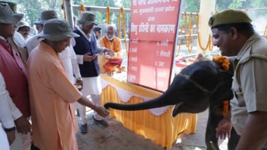 सीएम ने दुधवा टाइगर रिजर्व का किया निरीक्षण, हाथियों को खिलाया चारा