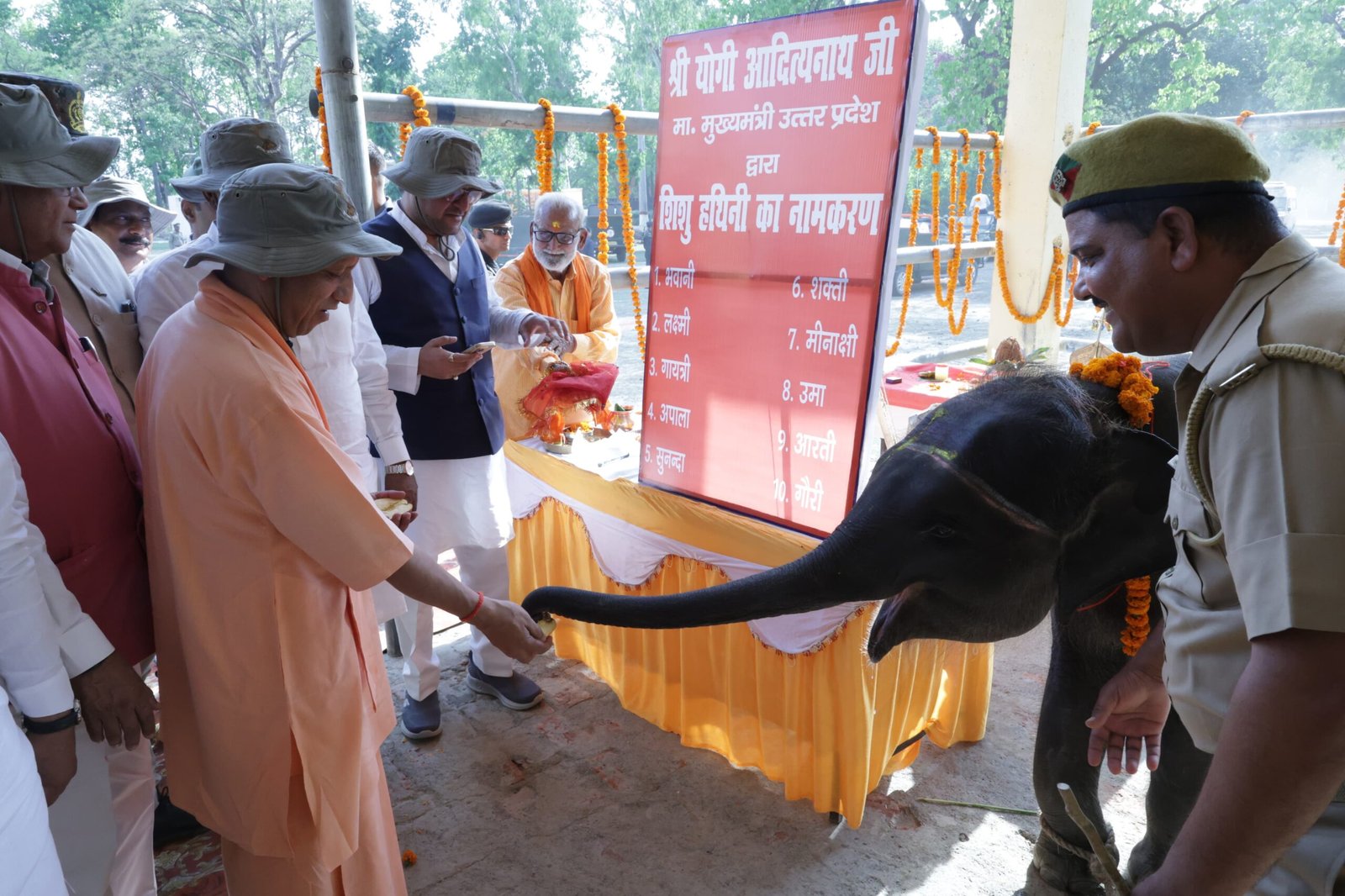सीएम ने दुधवा टाइगर रिजर्व का किया निरीक्षण, हाथियों को खिलाया चारा