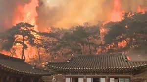 गुजरात में पटाखा फैक्ट्री में लगी भीषण आग, 17 की मौत