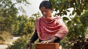 'रूरल मेसन ट्रेनिंग' कार्यक्रम के तहत ग्रामीण महिलाओं को बनाया जा रहा कुशल और दक्ष