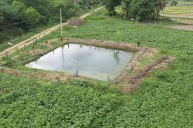 किसानों की आमदनी बढ़ाने के लिए होगा 12 फीसदी ज्यादा उत्पादन, बनेंगे 8500 फार्म पॉण्ड