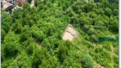 उत्तर प्रदेश में शहरी हरित क्रांति