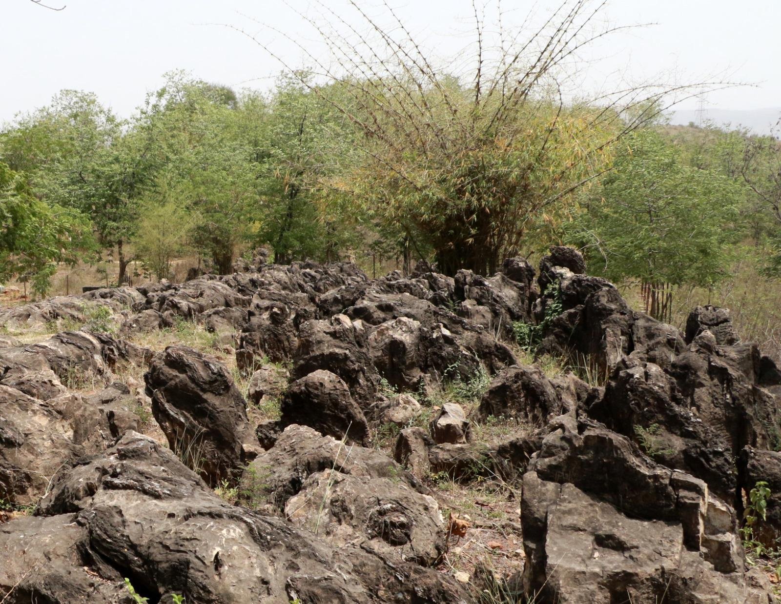 यूनेस्को की वर्ल्ड हेरिटेज की टेंटेटिव लिस्ट में हुआ शामिल, विश्व धरोहर के रूप में दर्ज कराने को इको टूरिज्म विकास बोर्ड प्रयासरत