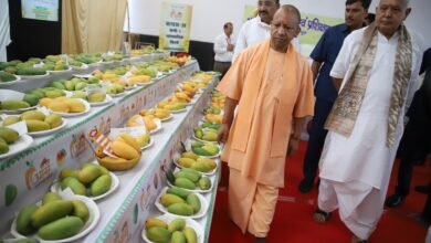 मुख्यमंत्री योगी आदित्यनाथ ने लखनऊ में तीन दिवसीय 'उत्तर प्रदेश आम महोत्सव- 2025' का किया शुभारंभ