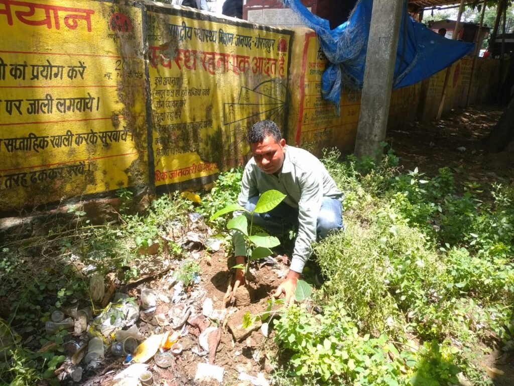 प्राथमिक स्वास्थ्य केंद्र के परिसर में हुआ वृक्षारोपण