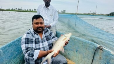 डबल इंजन सरकार का साथ, विभाग का मार्गदर्शन और अपनी मेहनत से लिख रहे सफलता की कहानी