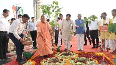 हरित आवरण वृद्धि में यूपी का है देश में दूसरा स्थान