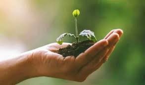 कार्बन क्रेडिट फाइनेंस योजना, पर्यावरण संरक्षण और किसानों के लिए बनी वरदान