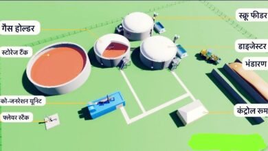 सीएम योगी का विजन-गऊ माता की कृपा से यूपी बनेगा वन ट्रिलियन इकोनॉमी