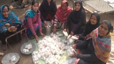 नेहा कश्यप बनीं ग्रामीण महिला सशक्तीकरण की मिसाल - मशरूम फार्मिंग से बदल रही हैं जिन्दपुरा की तस्वीर