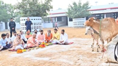 गोरखपुर। दीपावली पर्व के उपरांत गोवर्धन पूजा के अवसर पर मुख्यमंत्री योगी आदित्यनाथ ने गोरखनाथ मंदिर की गोशाला में विधिविधान से गोपूजन कर प्रदेशवासियों की सुख-समृद्धि की कामना की। मुख्यमंत्री ने गायों को तिलक लगाया, माला पहनाई और अपने हाथों से गुड़-केला खिलाया। उन्होंने कहा कि गोवंश भारत की अर्थव्यवस्था और संस्कृति की आत्मा है। प्रदेश सरकार गोसंरक्षण और संवर्धन के लिए तीन विशेष योजनाएं चला रही है, जिससे अन्नदाता किसानों और कुपोषित परिवारों को लाभ मिल रहा है। सीएम ने कहा कि गोवर्धन योजना से किसान समृद्धि और हरित ऊर्जा की दिशा में आगे बढ़ रहे हैं।