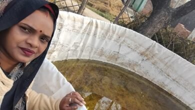 प्रयागराज मंडल के फतेहपुर जिले की रीता देवी ने ग्रामीण आजीविका मिशन से जुड़कर संघर्ष को सफलता में बदला। स्वयं सहायता समूह के माध्यम से मिले ऋण से उन्होंने मत्स्य पालन और ब्यूटी पार्लर शुरू किया। आज वे न सिर्फ आत्मनिर्भर हैं, बल्कि गांव की अन्य महिलाओं को भी स्वरोजगार की राह दिखा रही हैं।