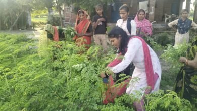 आत्मनिर्भर उत्तर प्रदेश के विजन के तहत मोरिंगा आधारित आजीविका मॉडल ने ग्रामीण महिलाओं को नई पहचान दी है। लखनऊ, अयोध्या, बाराबंकी, सुल्तानपुर और सीतापुर में एक हजार से अधिक महिलाएं मोरिंगा की पत्तियों, बीज और छाल की प्रोसेसिंग से जुड़कर नियमित आय अर्जित कर रही हैं। एफपीओ और एग्रीकल्चर इंफ्रास्ट्रक्चर फंड के सहयोग से स्थापित यूनिट्स ने घर के पास रोजगार, कौशल विकास और आर्थिक आत्मनिर्भरता को मजबूती दी है।