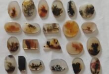 योगी सरकार द्वारा शजर पत्थर को ओडीओपी में शामिल किए जाने के बाद बांदा में यह हस्तकला फिर से जीवित हो गई है। इस साल 250 नए शिल्पकार इस व्यवसाय से जुड़ रहे हैं। जिला उद्योग विभाग द्वारा प्रशिक्षण, टूल्स और 5 लाख से 25 लाख रुपये तक के लोन की सुविधा दी जा रही है, जिससे शिल्पकारों की आर्थिक स्थिति में सुधार हो रहा है।