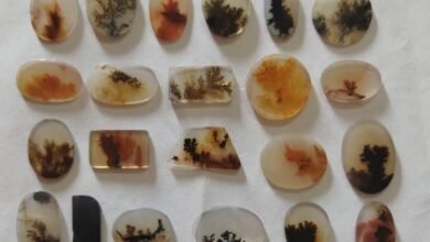 योगी सरकार द्वारा शजर पत्थर को ओडीओपी में शामिल किए जाने के बाद बांदा में यह हस्तकला फिर से जीवित हो गई है। इस साल 250 नए शिल्पकार इस व्यवसाय से जुड़ रहे हैं। जिला उद्योग विभाग द्वारा प्रशिक्षण, टूल्स और 5 लाख से 25 लाख रुपये तक के लोन की सुविधा दी जा रही है, जिससे शिल्पकारों की आर्थिक स्थिति में सुधार हो रहा है।