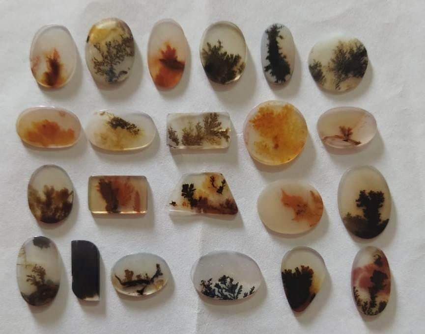 योगी सरकार द्वारा शजर पत्थर को ओडीओपी में शामिल किए जाने के बाद बांदा में यह हस्तकला फिर से जीवित हो गई है। इस साल 250 नए शिल्पकार इस व्यवसाय से जुड़ रहे हैं। जिला उद्योग विभाग द्वारा प्रशिक्षण, टूल्स और 5 लाख से 25 लाख रुपये तक के लोन की सुविधा दी जा रही है, जिससे शिल्पकारों की आर्थिक स्थिति में सुधार हो रहा है।