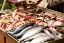 चौकाघाट अवैध मछली मंडी के आठ विकेताओं के खिलाफ प्राथमिकी