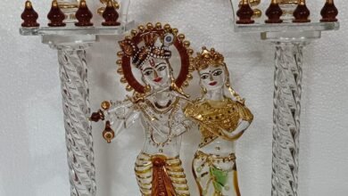 मुख्यमंत्री योगी आदित्यनाथ ने सिंगापुर और जापान दौरे के दौरान ‘एक जिला-एक उत्पाद’ (ODOP) योजना के तहत तैयार यूपी की पारंपरिक कलाकृतियां विदेशी नेताओं, कॉरपोरेट प्रतिनिधियों और बच्चों को भेंट कीं। वाराणसी की गुलाबी मीनाकारी, फिरोजाबाद के ग्लास उत्पाद और सहारनपुर की लकड़ी की नक्काशी ने वैश्विक स्तर पर सराहना पाई। इस पहल से यूपी के कारीगरों को अंतरराष्ट्रीय पहचान और निर्यात के नए अवसर मिलने की उम्मीद बढ़ी है।