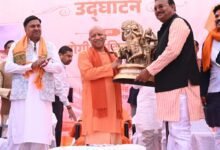 मुख्यमंत्री योगी आदित्यनाथ ने गोरखपुर के कैम्पियरगंज में प्रदेश की पहली वानिकी एवं उद्यान विज्ञान विश्वविद्यालय की स्थापना की घोषणा करते हुए कहा कि यहां से मिलने वाली डिग्री और डिप्लोमा युवाओं के लिए नौकरी की गारंटी होंगे। यह विश्वविद्यालय पर्यावरण संरक्षण, वनाच्छादन बढ़ाने और किसानों की आय में वृद्धि में महत्वपूर्ण योगदान देगा। सीएम ने जंगल कौड़िया ब्लॉक में विकास कार्यों का उद्घाटन करते हुए कहा कि सरकार युवाओं को रोजगार और क्षेत्र के समग्र विकास के लिए प्रतिबद्ध है।