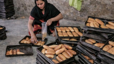 बरेली की नसरीन बी ने स्वयं सहायता समूह से जुड़कर बेकरी व्यवसाय शुरू किया और आज 10 महिलाओं को रोजगार दे रही हैं। NRLM योजना के तहत मिली आर्थिक सहायता से उनका कारोबार बढ़ा और मासिक आय 1 लाख रुपये तक पहुंच गई। यह कहानी ग्रामीण महिलाओं के सशक्तिकरण और आत्मनिर्भरता की प्रेरक मिसाल है।