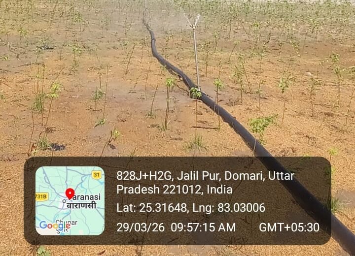 वाराणसी के डोमरी-सूजाबाद में नगर निगम द्वारा एक घंटे में 2.51 लाख पौधे लगाने के विश्व रिकॉर्ड की प्रधानमंत्री नरेंद्र मोदी ने ‘मन की बात’ में सराहना की। उन्होंने इसे जनभागीदारी की मिसाल बताते हुए देशवासियों को प्रेरित किया। यह अभियान पर्यावरण संरक्षण के साथ आर्थिक आत्मनिर्भरता और हरित विकास का नया मॉडल बनकर उभरा।