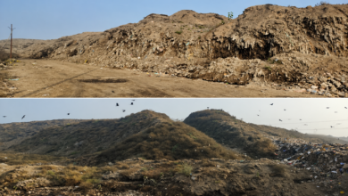 वाराणसी के करसड़ा डंपिंग ग्राउंड पर जमा कूड़े के विशाल पहाड़ को हटाने की प्रक्रिया तेज हो गई है। नगर निगम ने बायोमाइनिंग तकनीक से करीब 1264 लाख मीट्रिक टन कचरे के वैज्ञानिक निस्तारण की योजना शुरू कर दी है। कचरा हटने के बाद 25 एकड़ भूमि पर मियावाकी तकनीक से घना जंगल विकसित किया जाएगा। इससे प्रदूषण में कमी आएगी और शहर को ‘ग्रीन लंग्स’ मिलेंगे। परियोजना में विशेषज्ञ एजेंसियों की मदद ली जा रही है।